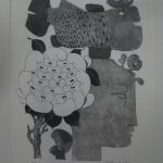 443 5038 Litografi